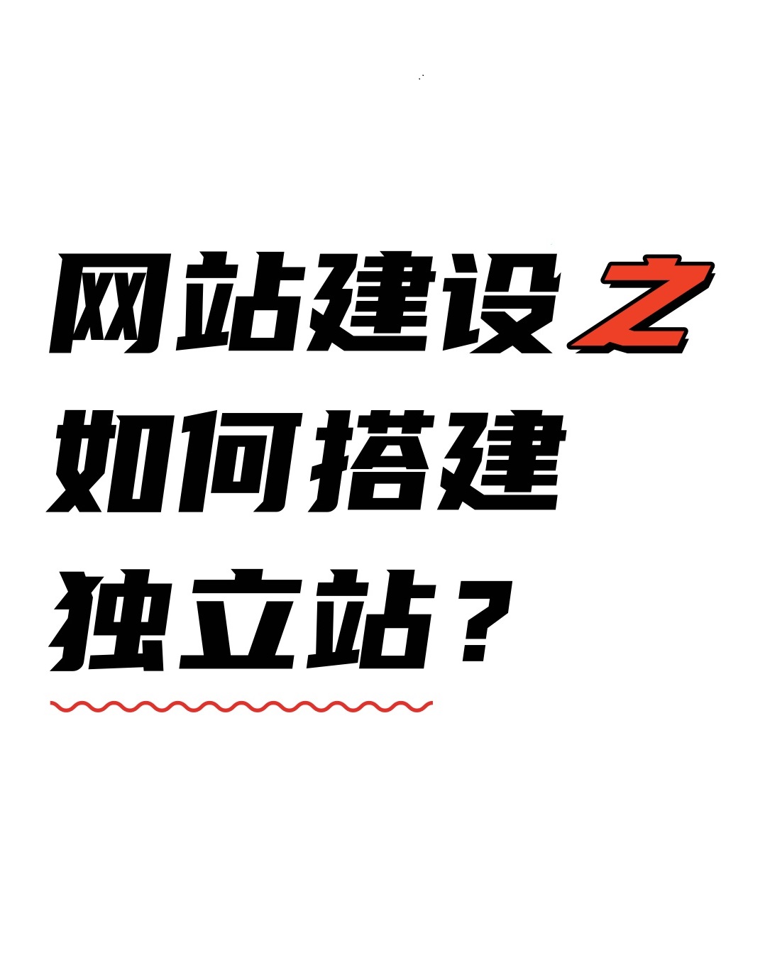 睿智創(chuàng)新RAIZ，一體化IT服務(wù)提供商